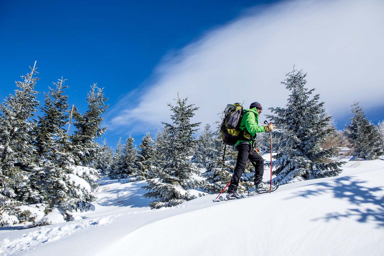 Balade en raquettes | Maison L'avancée, Location haut-de-gamme Massif du Sancy